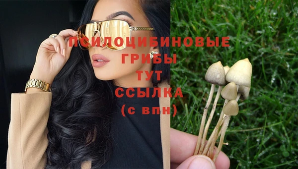 мет Краснослободск