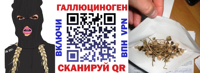 Купить закладки Гай Псилоцибиновые грибы Magic Shrooms